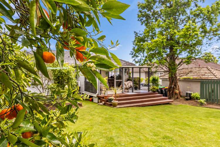 159 Waimea Road Nelson South_19