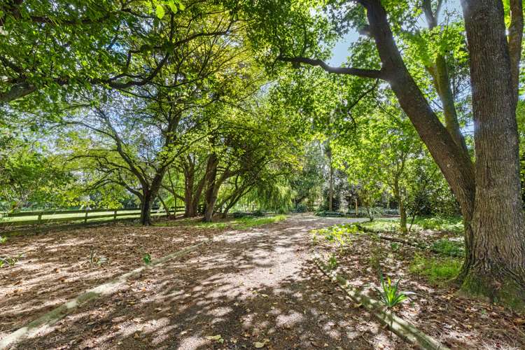 35a Law Crescent Horotiu_3