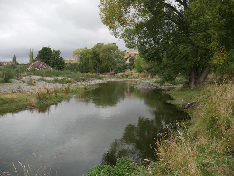 1390 Dunback-Morrisons Road Waynes_24