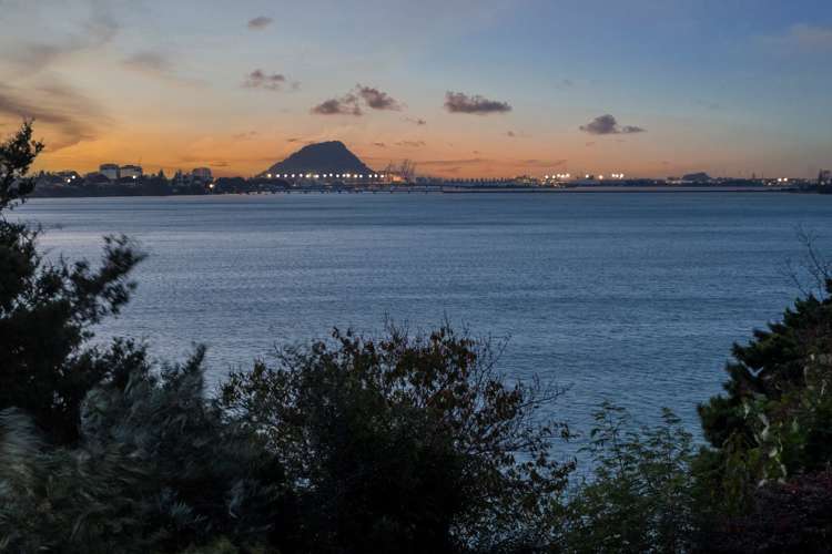 49 Vine Avenue Maungatapu_23