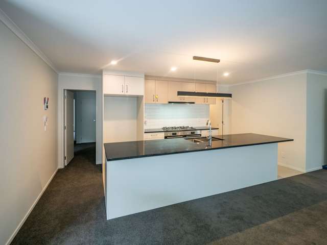 38 Rochdale Drive Churton Park_2