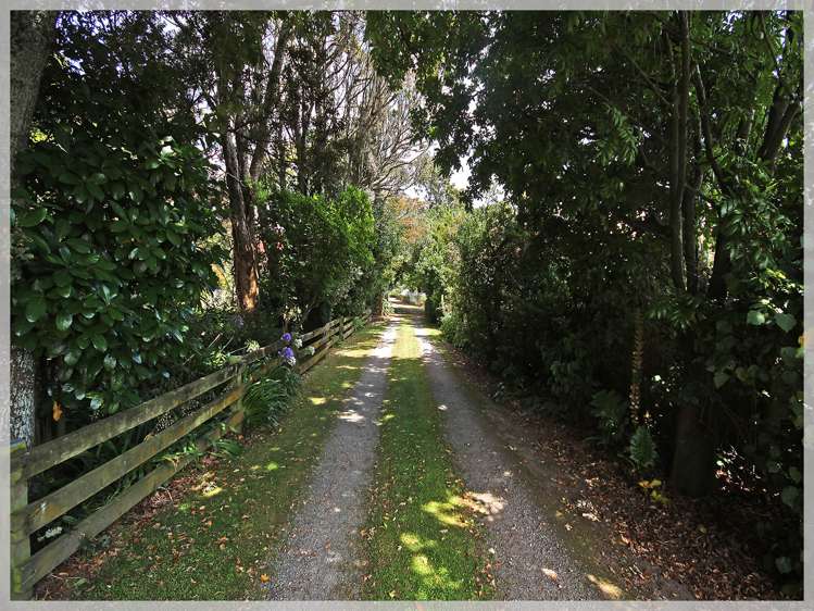 69B Mako Mako Road Levin_4