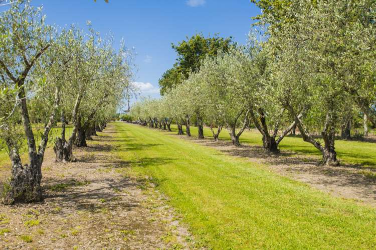 144 Makaraka Road Makaraka_9