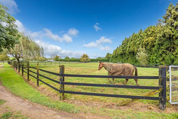 356 Mystery Creek Road Ohaupo_41