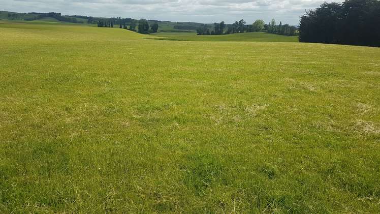 259 Kaihiku Church Road Clinton and Surrounds_4