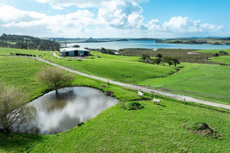 450 Neems Road Matakohe_9