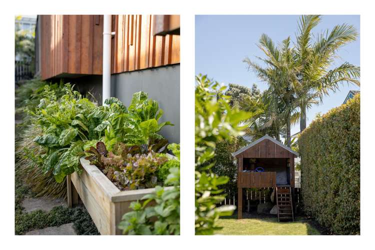 25 Grove Avenue Mount Maunganui_12