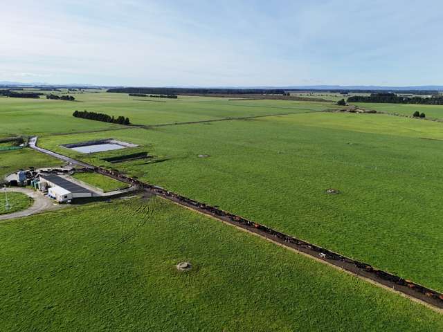 427 + 585 Marshall Road Awarua_1