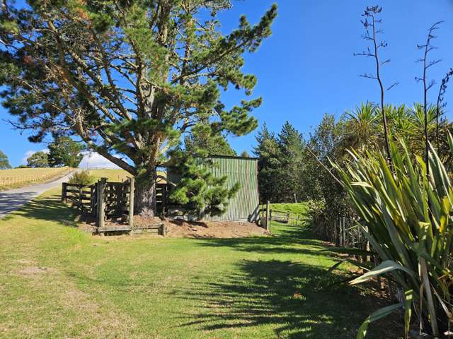 112B Mahoenui Valley Road Coatesville_3