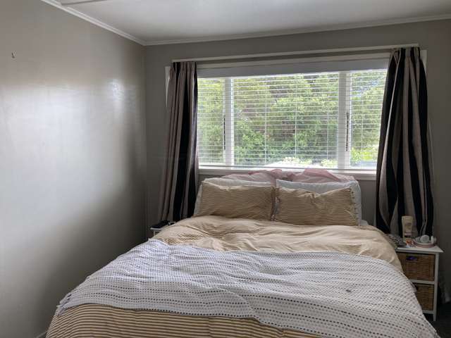 36a Prospect Terrace Pukekohe_3