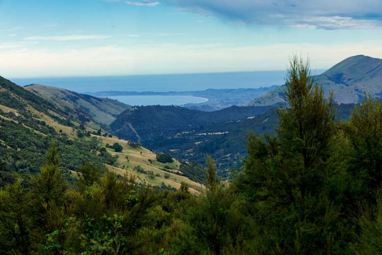 Lot 3/DP403510 Puhi Puhi Valley Road Kaikoura_18