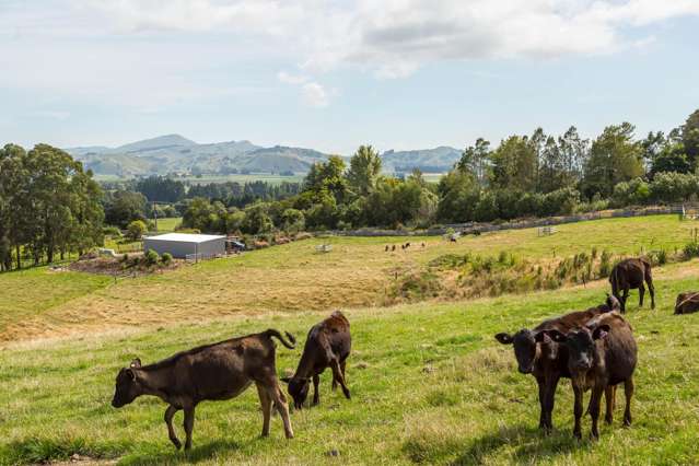 67A Lees Pakaraka Road Masterton_4