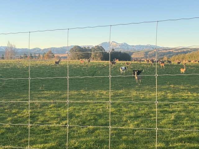 455 Albury Fairlie Road Mackenzie Country_1