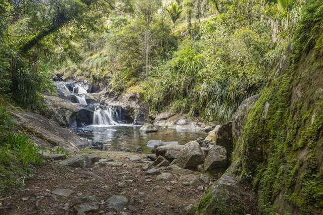 586 Tapu Coroglen Road Tapu_3