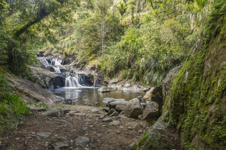 586 Tapu Coroglen Road Tapu_3