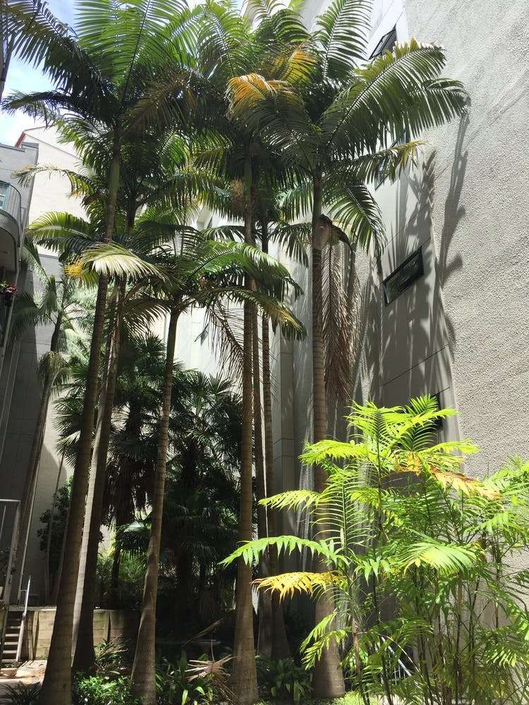 4b/71 Lorne Street Auckland Central_8