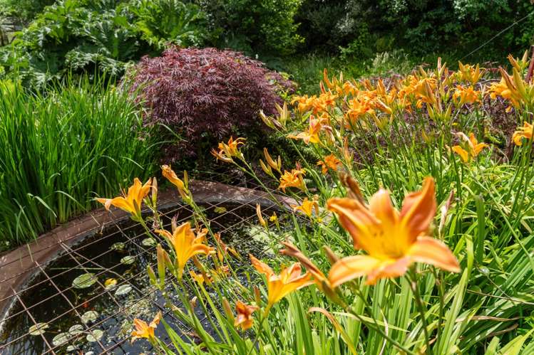 105A State Highway 30 Tikitere_57