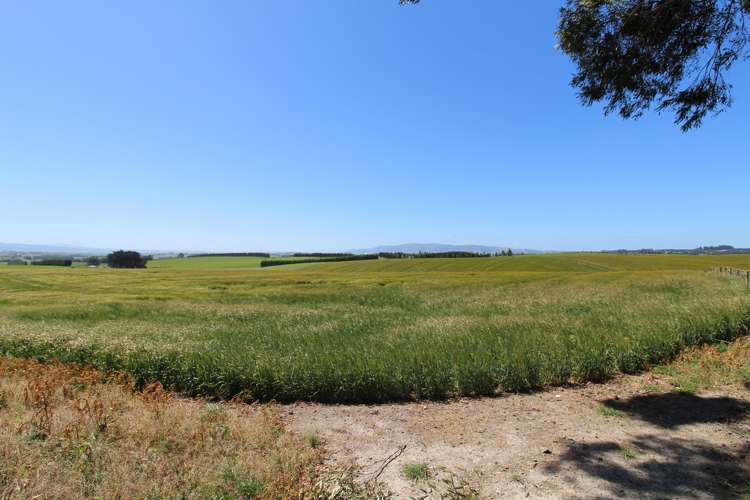 1271 Waikaka Valley Highway Gore Surrounds_16