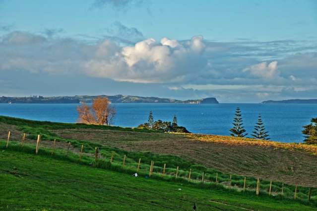 18 Bearing Parade Long Bay_3