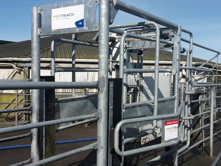 346 Rugby Road Tariki_11