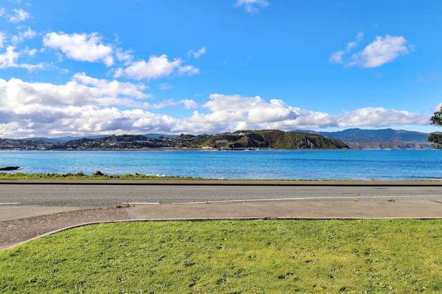 300 Queens Drive Lyall Bay_2