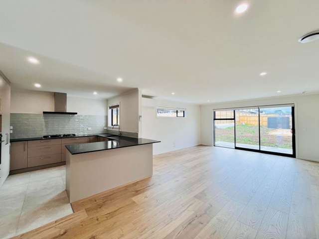 14 Olga Road Flat Bush_2