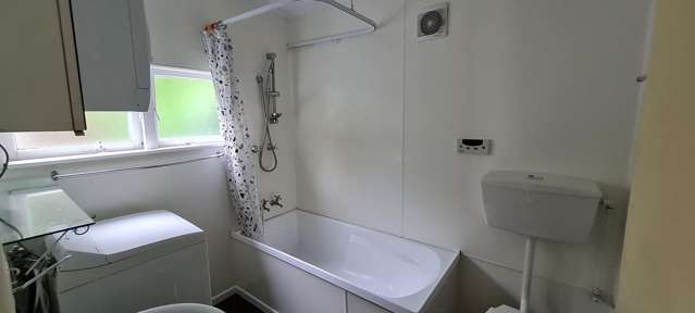 36 Holloway Road Aro Valley_3