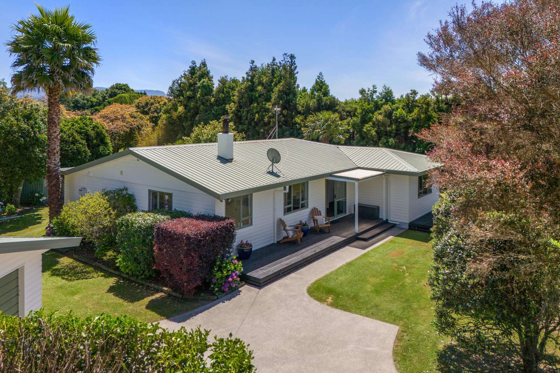 474 Youngson Road Whakamarama_0