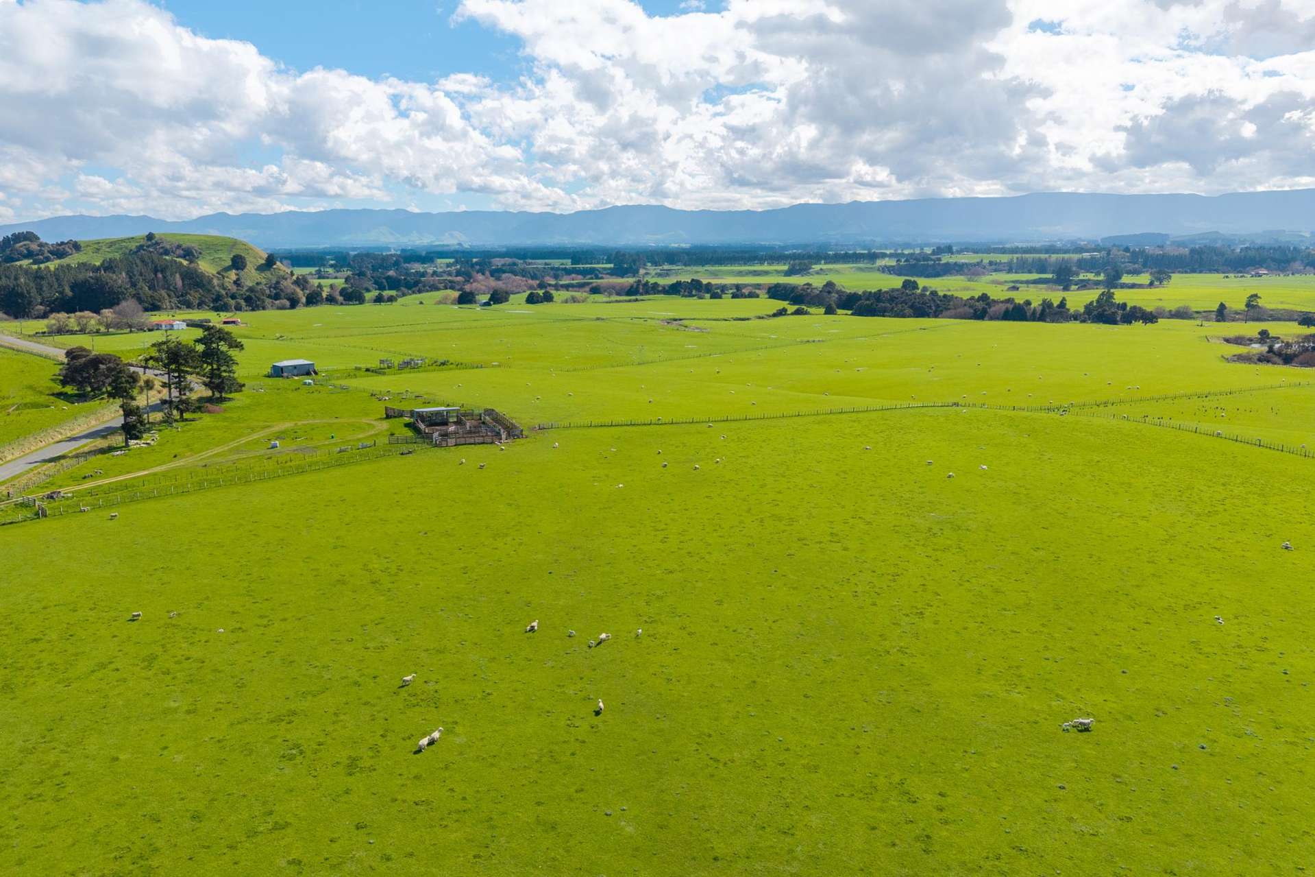 235 Otope Road Dannevirke_0