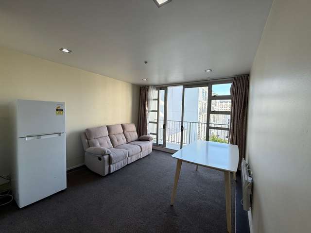 44 Liverpool Street Auckland Central_2