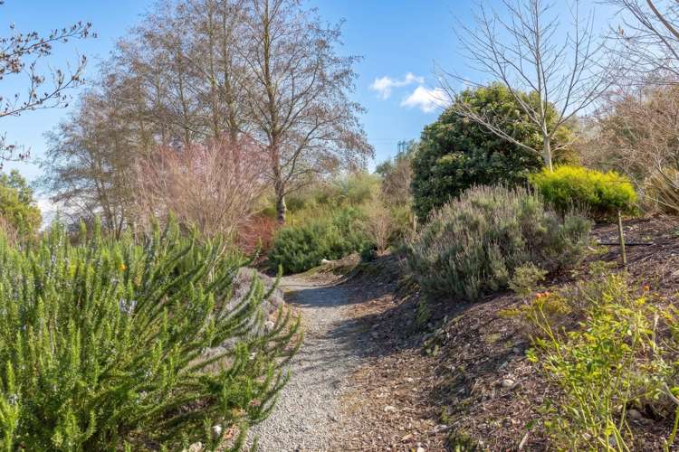 244 Dakins Road East Taratahi_19