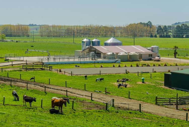 515 Kakanui Valley Road Five Forks and Surrounds_10