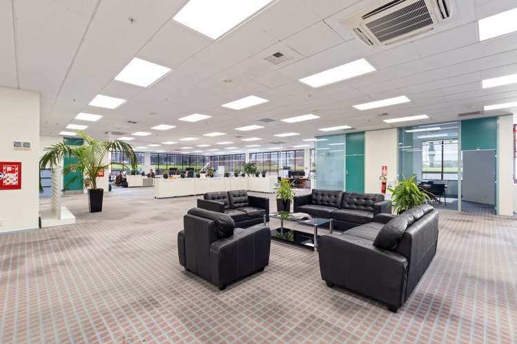 9 Matthews Avenue Takaro_10