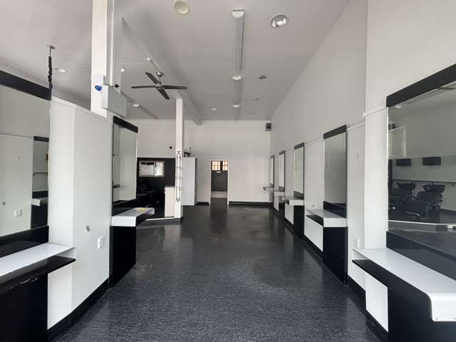 161 Jackson Street Petone_1