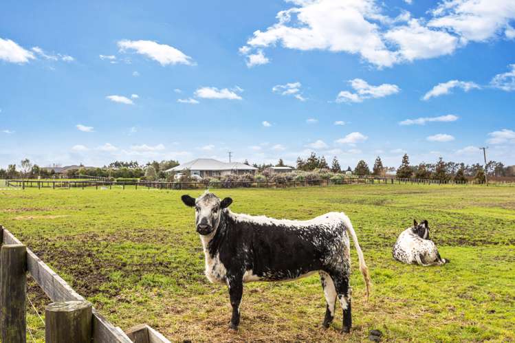 210b Clarks Beach Road Clarks Beach_29