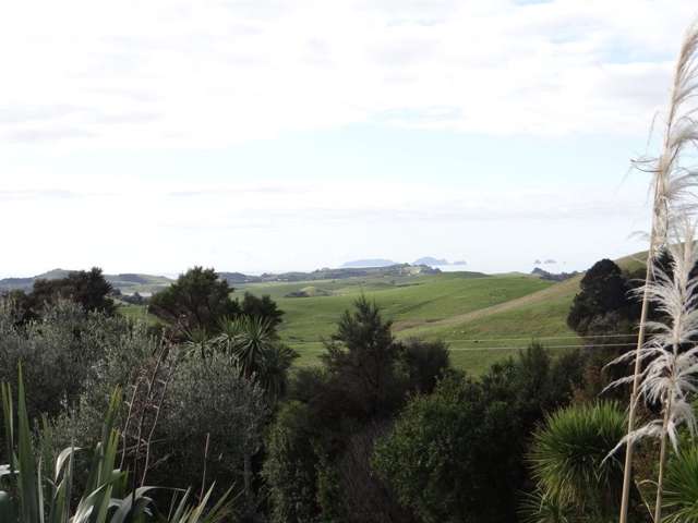 206 Kauri Mountain Road Taiharuru_2