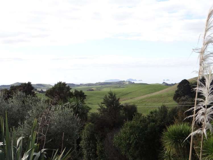 206 Kauri Mountain Road Taiharuru_2