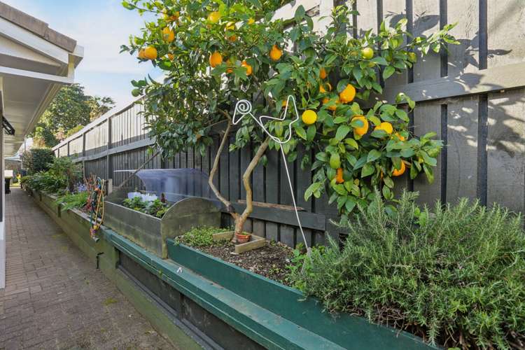 192 Levers Road Matua_15
