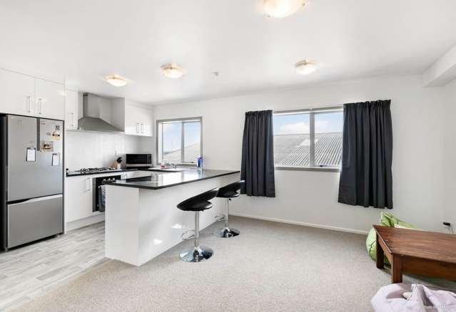 95E Felton Mathew Avenue St Johns_2