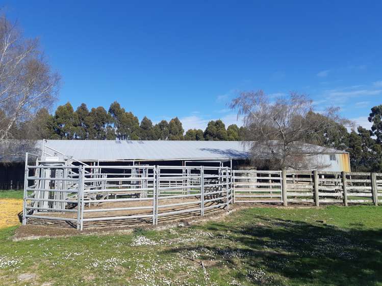 572 Cairn Road Clinton and Surrounds_19