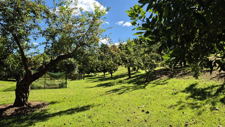 112 Ruahihi Road Lower Kaimai_16