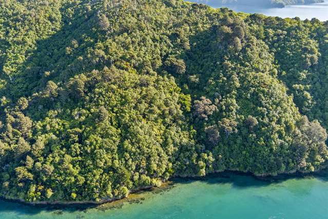 The Snout Waikawa Bay Picton_4