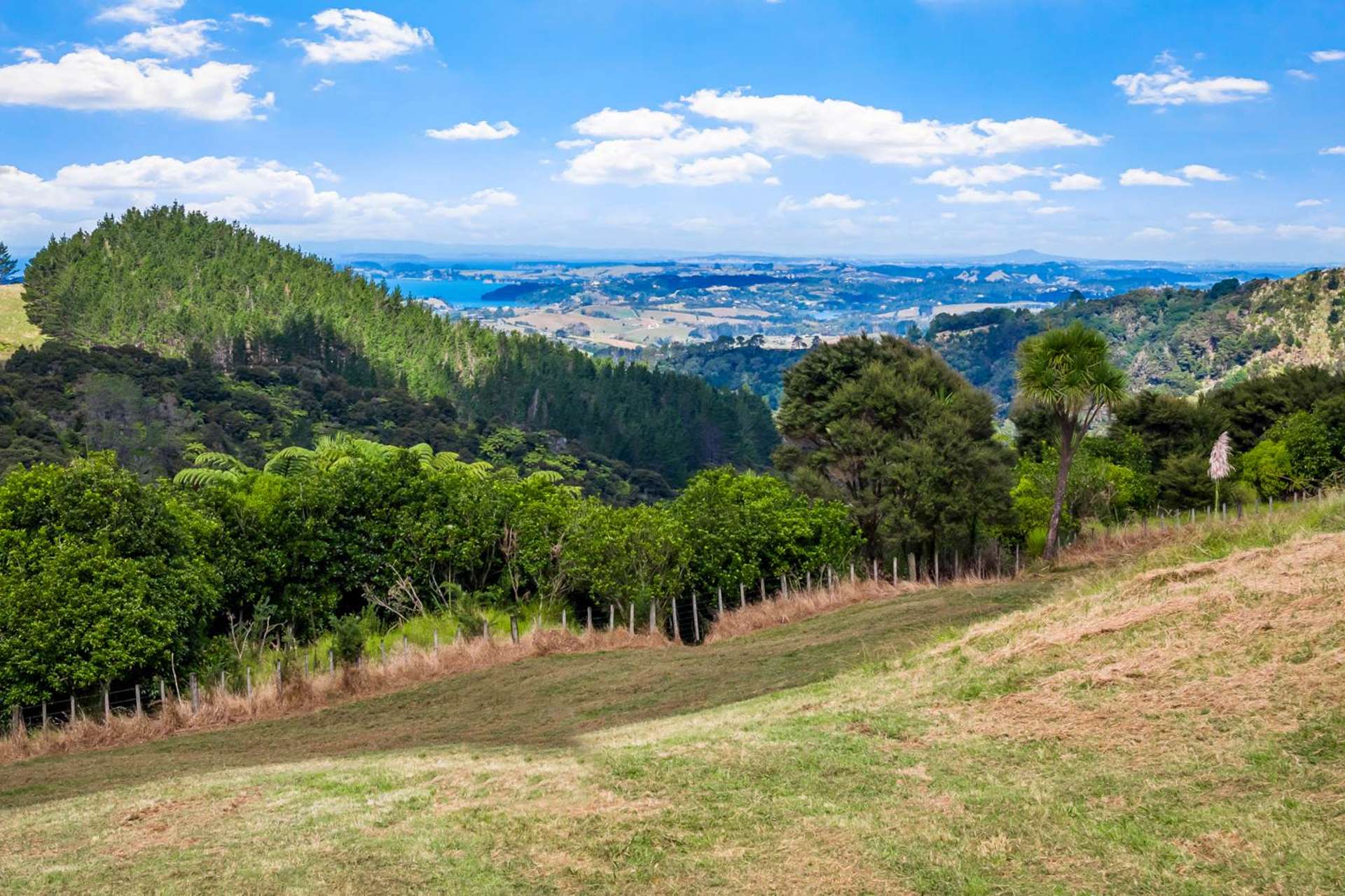 Lot 4/181C Govan Wilson Road Matakana_0