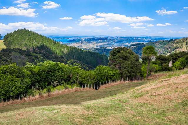 Lot 4/181C Govan Wilson Road Matakana_1