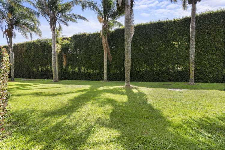 14/33 School Road Kingsland_13