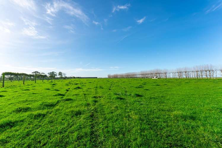 31 Seaforth Settlement Road Seadown_13