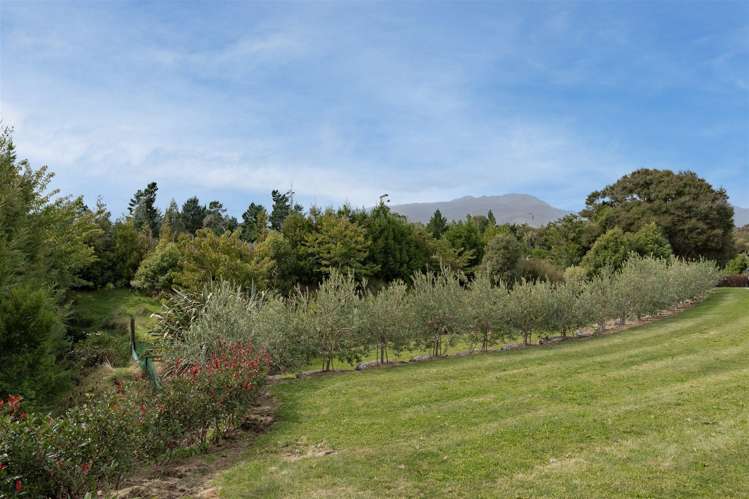 168 Utopia Road Westport_25