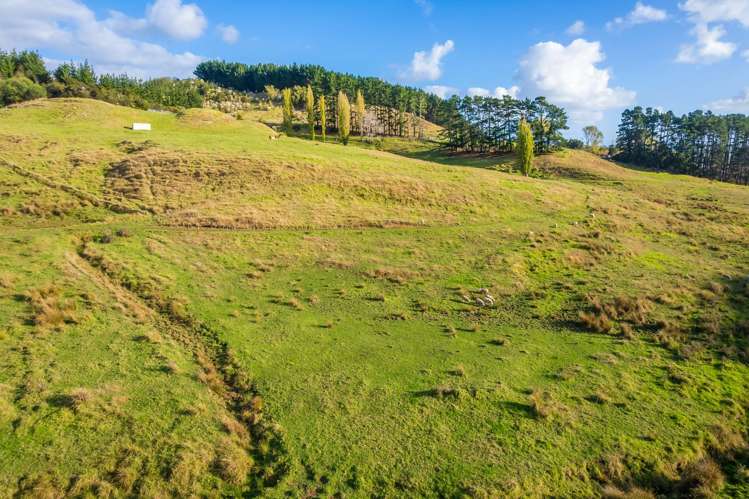 Kawhia Road (SH 31) Kawhia_19