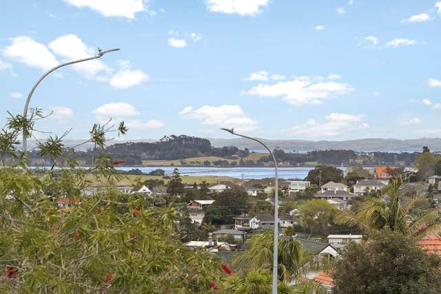 113 Queenstown Road Onehunga_2