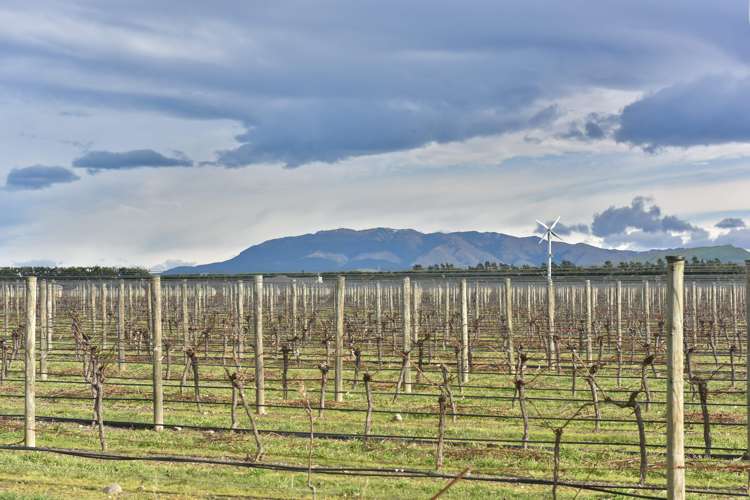 55 Darnley Road Amberley_16